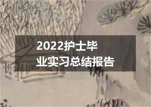 2022护士毕业实习总结报告