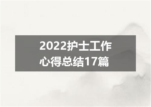 2022护士工作心得总结17篇