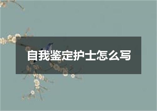 自我鉴定护士怎么写
