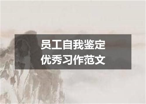 员工自我鉴定优秀习作范文