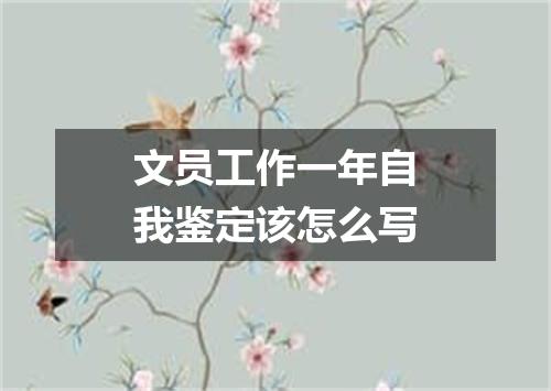 文员工作一年自我鉴定该怎么写