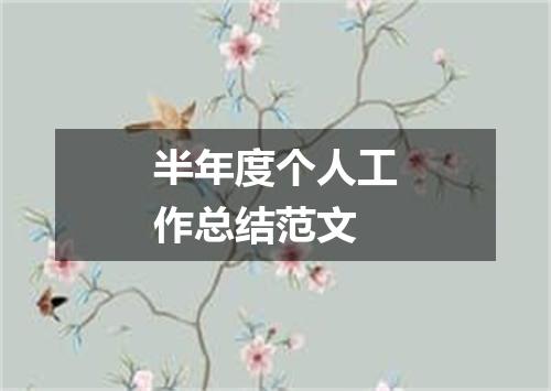 半年度个人工作总结范文