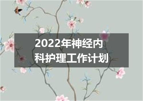 2022年神经内科护理工作计划