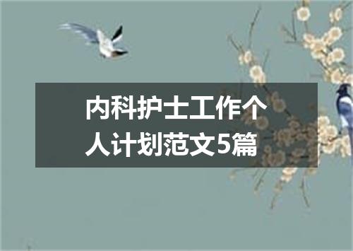 内科护士工作个人计划范文5篇