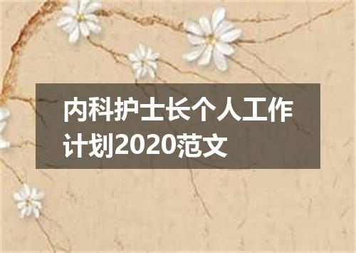 内科护士长个人工作计划2020范文