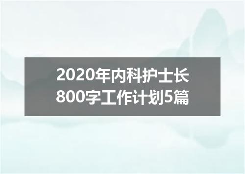 2020年内科护士长800字工作计划5篇