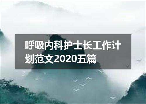 呼吸内科护士长工作计划范文2020五篇
