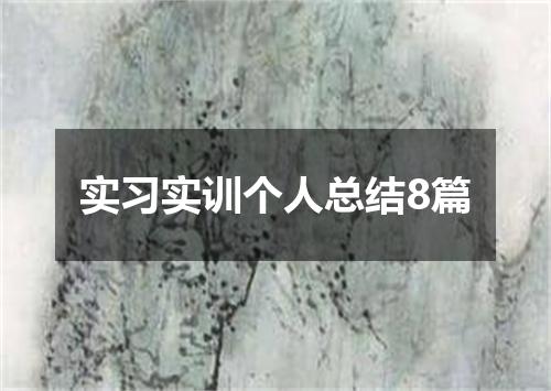 实习实训个人总结8篇