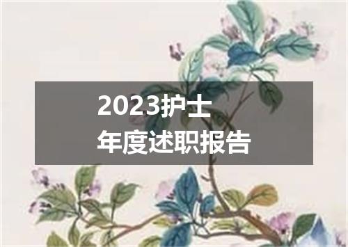 2023护士年度述职报告