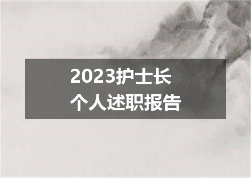 2023护士长个人述职报告