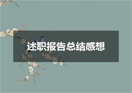 述职报告总结感想