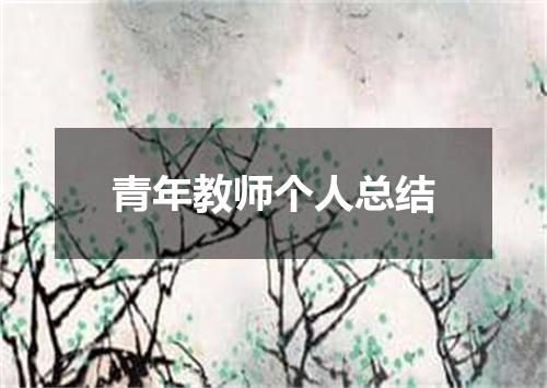 青年教师个人总结