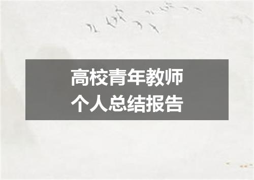高校青年教师个人总结报告