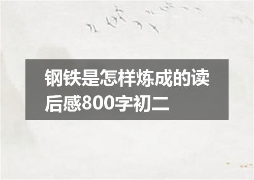 钢铁是怎样炼成的读后感800字初二