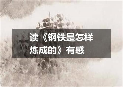 读《钢铁是怎样炼成的》有感