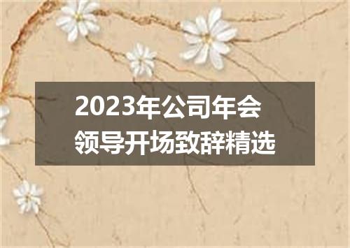 2023年公司年会领导开场致辞精选