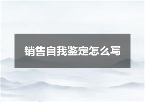 销售自我鉴定怎么写