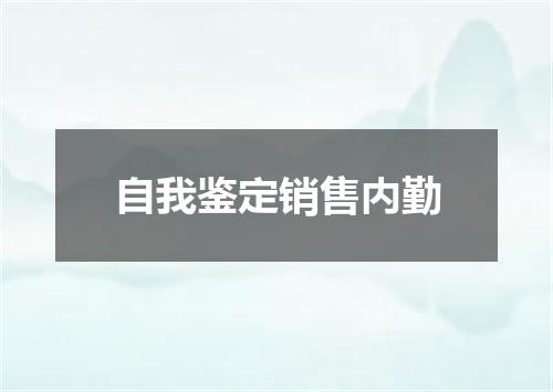 自我鉴定销售内勤