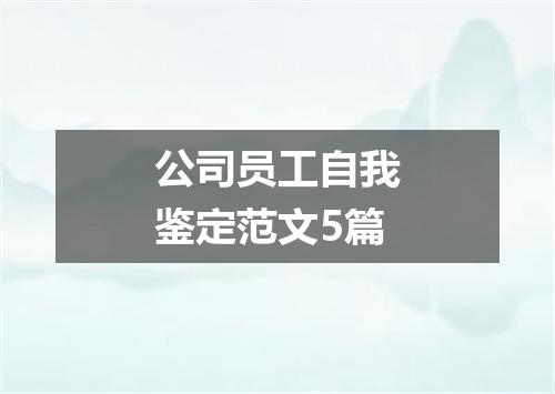 公司员工自我鉴定范文5篇