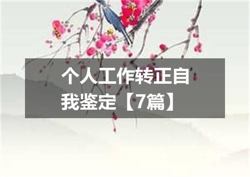 个人工作转正自我鉴定【7篇】