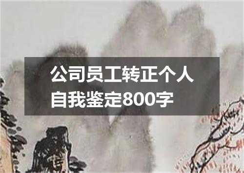 公司员工转正个人自我鉴定800字