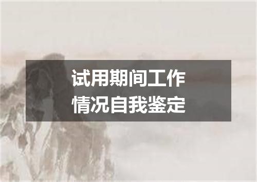 试用期间工作情况自我鉴定