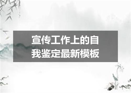 宣传工作上的自我鉴定最新模板