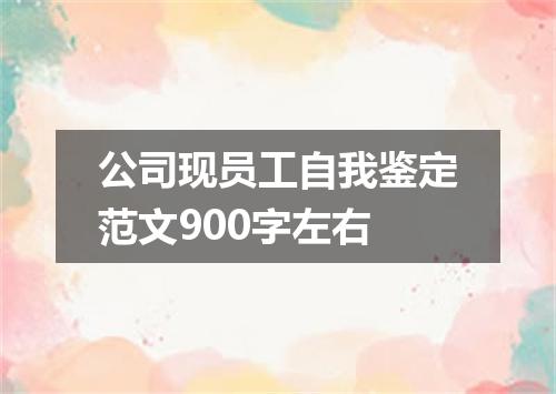 公司现员工自我鉴定范文900字左右