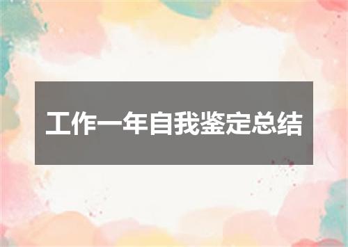 工作一年自我鉴定总结