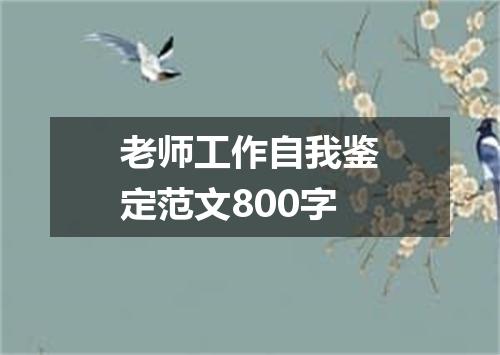 老师工作自我鉴定范文800字