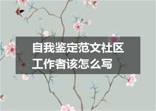 自我鉴定范文社区工作者该怎么写