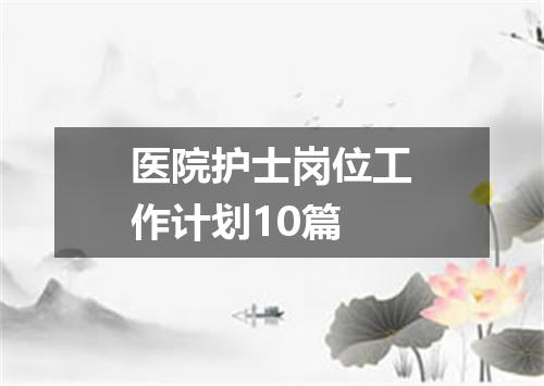 医院护士岗位工作计划10篇