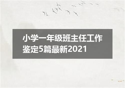 小学一年级班主任工作鉴定5篇最新2021