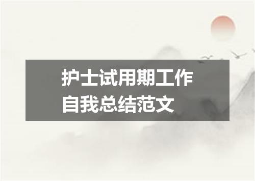 护士试用期工作自我总结范文