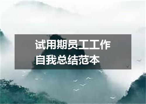 试用期员工工作自我总结范本