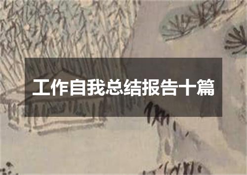 工作自我总结报告十篇