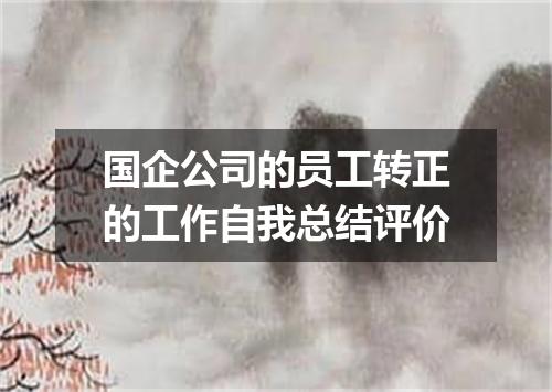 国企公司的员工转正的工作自我总结评价