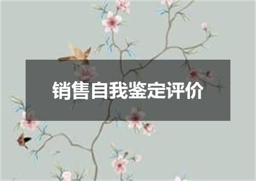 销售自我鉴定评价