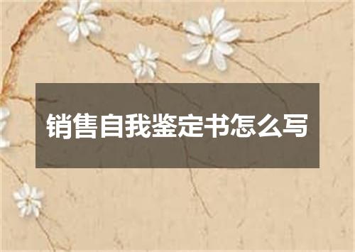 销售自我鉴定书怎么写