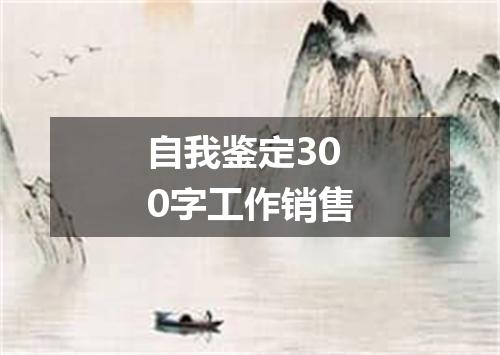 自我鉴定300字工作销售