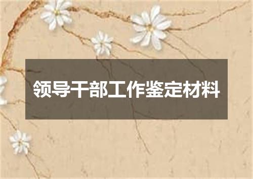 领导干部工作鉴定材料
