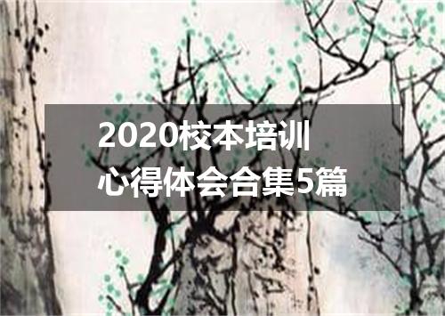 2020校本培训心得体会合集5篇