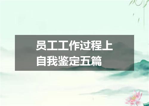 员工工作过程上自我鉴定五篇
