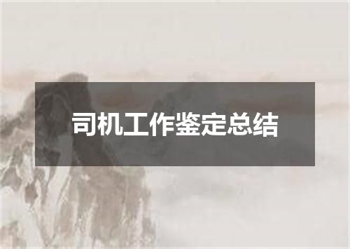 司机工作鉴定总结