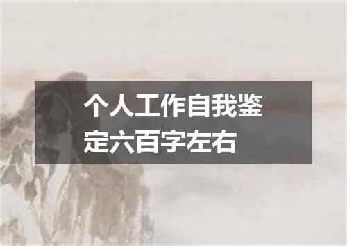 个人工作自我鉴定六百字左右