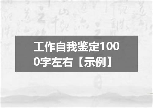 工作自我鉴定1000字左右【示例】