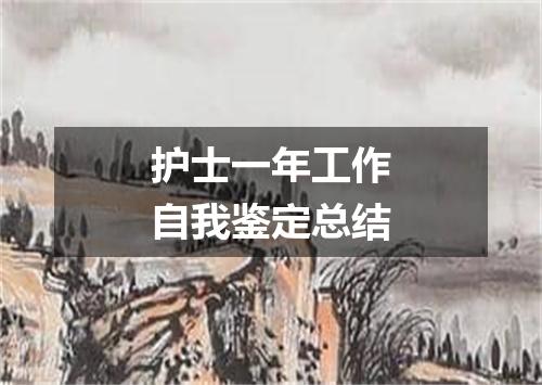 护士一年工作自我鉴定总结