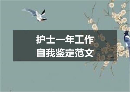 护士一年工作自我鉴定范文