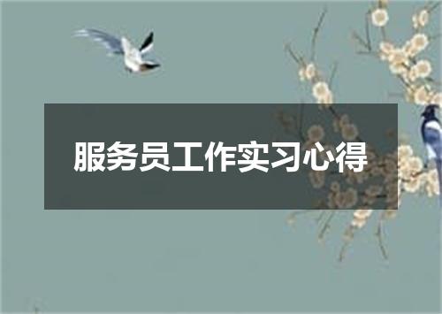 服务员工作实习心得