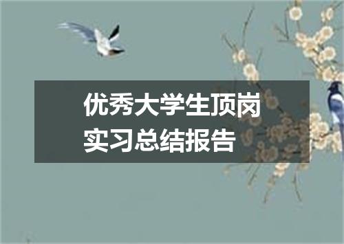 优秀大学生顶岗实习总结报告